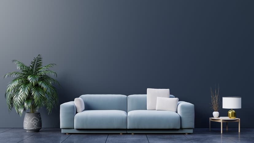 Airbnb couch with a coffee table to the right and a small planted palm tree to its left